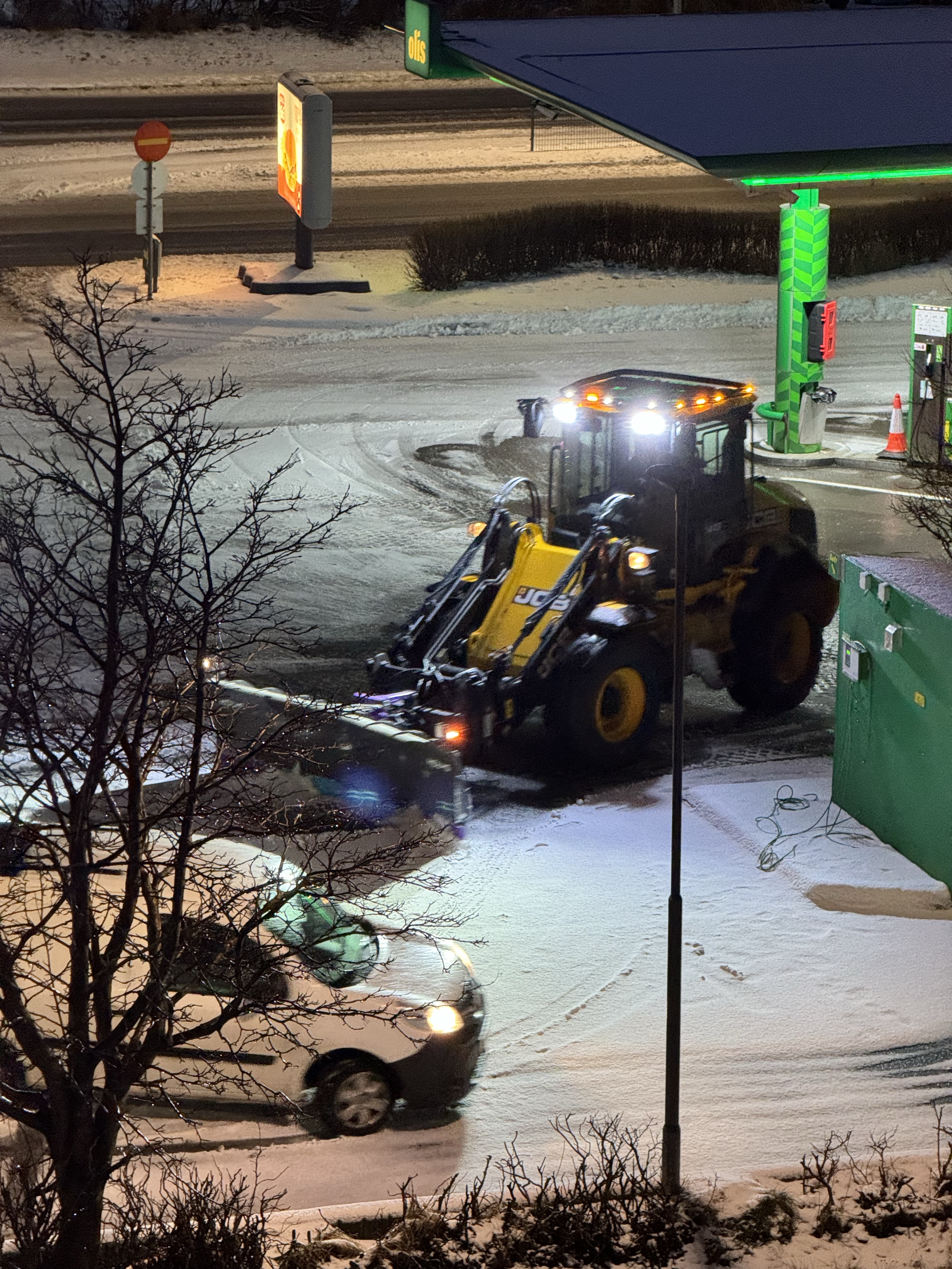 In Islanda vivono quattro gatti: è tutto più facile? NO!